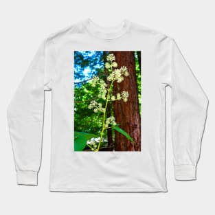 Muir Woods Study 2 Long Sleeve T-Shirt